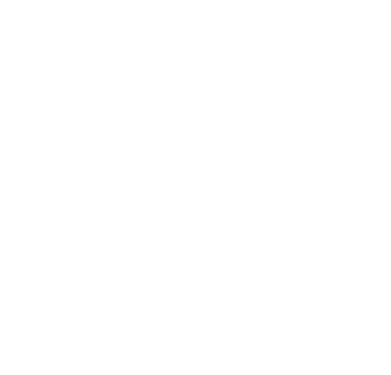 logo omnitek white
